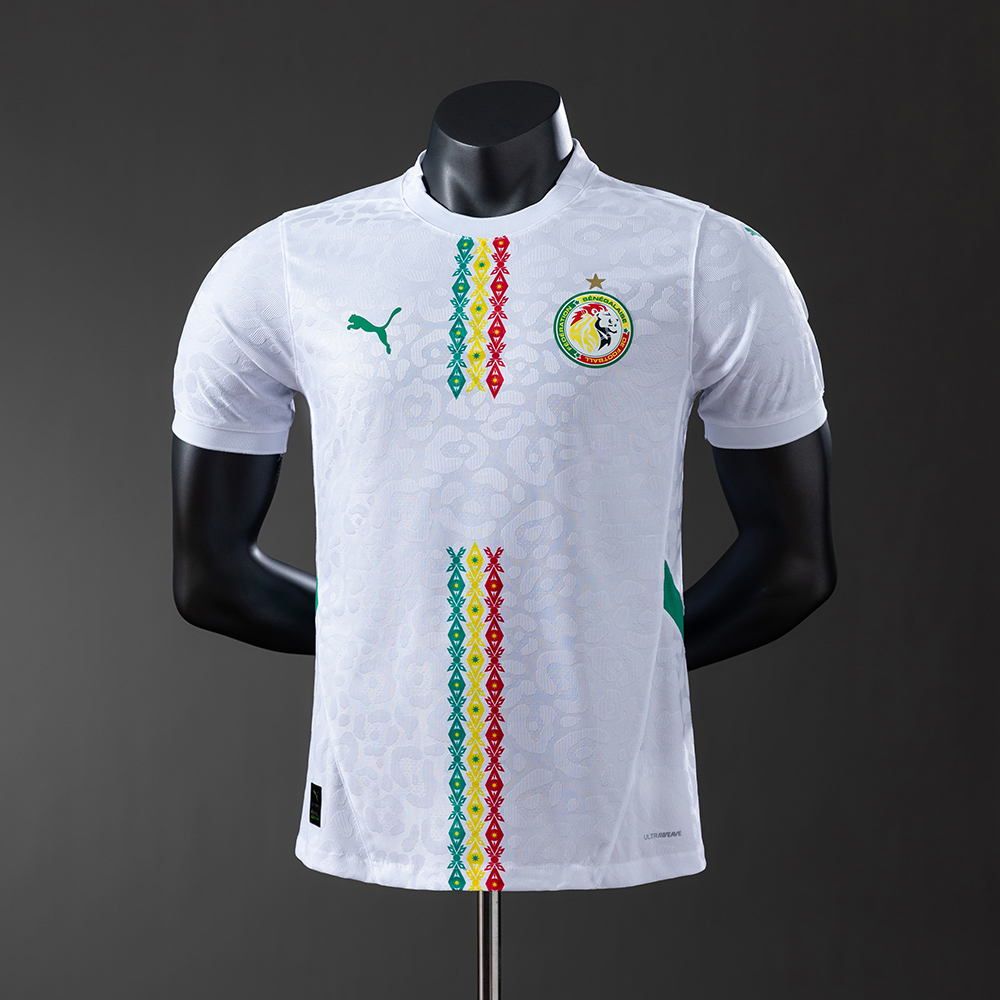 Senegal 2025 Home Player Version Jersey