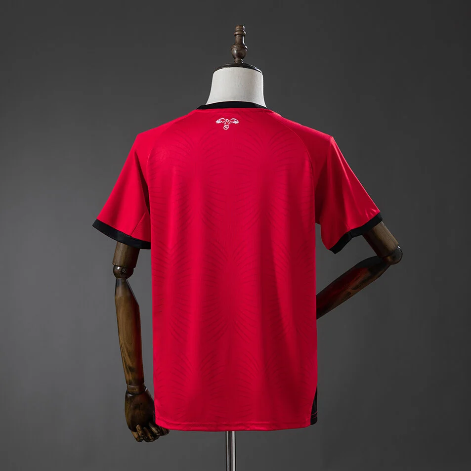 Jordan 2026 Away Jersey Foto 2