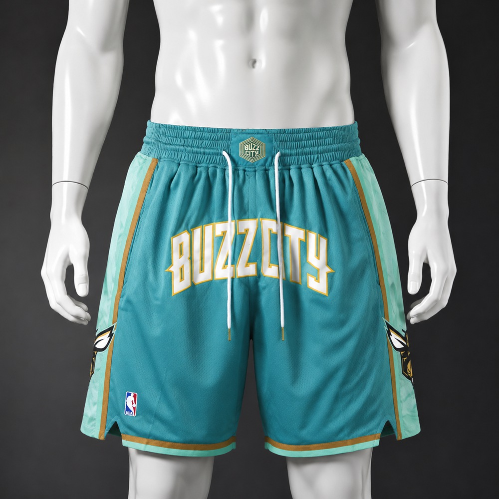 Charlotte Hornets  Basketball NBA Shorts Embroidered Version
